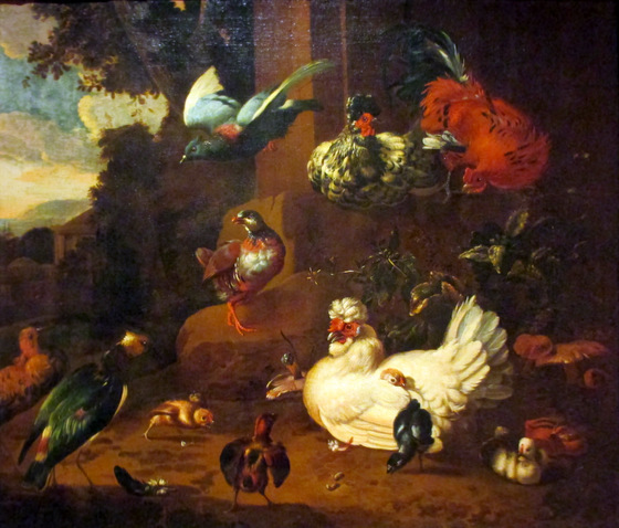 Birds in a Landscape -- Melchior de Hondecoeter, (1636-1695)